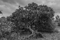 20160125-IMG_6471