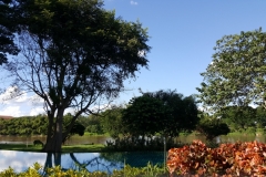 20161101_152913
