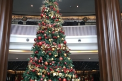 20161224-20161224_141010