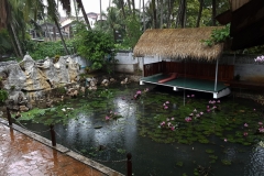 20161109-20161109_093258