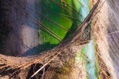 20130407-IMG_0064