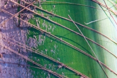 20130407-IMG_0077