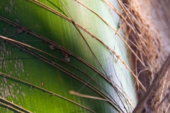 20130407-IMG_0090