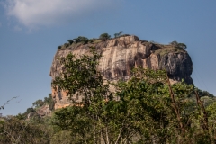 20130409-IMG_0194