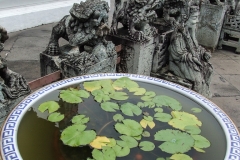 DSCF0645