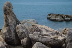 DSCF0655