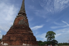 DSCF0951