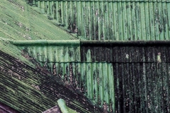 DSCF0983