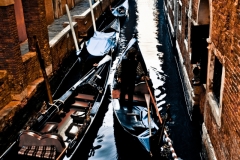 20111217-IMG_0027